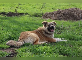 Knuffige Arika sucht ihre eigene Familie