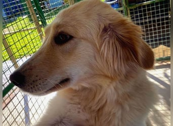 Rosa – wunderschön und sanft