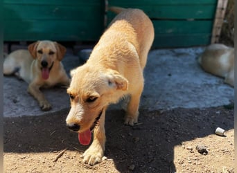 Fanta - Neuanfang gesucht: Wer bringt mir die Welt bei?