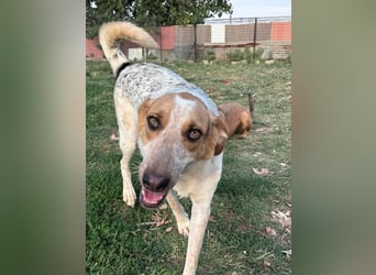 PACKO sucht ein Zuhause