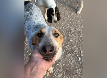 PACKO sucht ein Zuhause