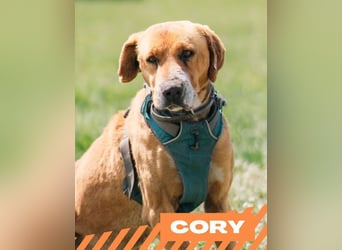 Cory