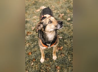 Inoa unsere gemütliche Spaziergängerin