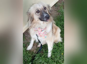 Malta – eine Lady auf dem Weg ins neue Leben!