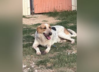 PACKO sucht ein Zuhause