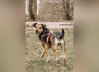 Inoa unsere gemütliche Spaziergängerin