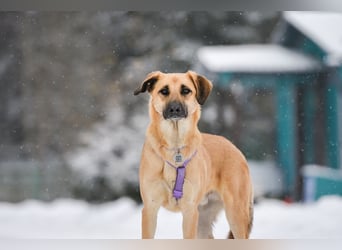 Ruhiger Lutik sucht perfektes Zuhause