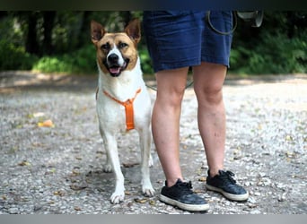 Wunderbare Jenny sucht ihre Menschen