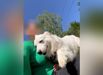 Jenny, freundlich und menschenbezogen