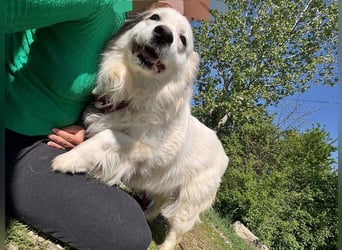 Jenny, freundlich und menschenbezogen