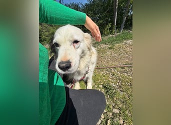 Jenny, freundlich und menschenbezogen
