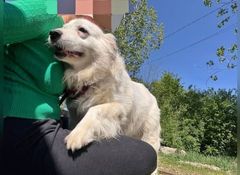 Jenny, freundlich und menschenbezogen