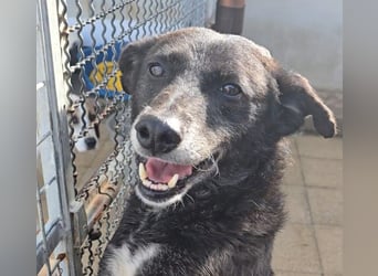 Ena: nur einmal Liebe spüren...