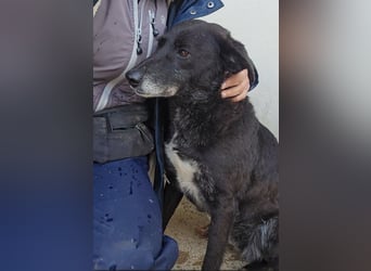 Ena: nur einmal Liebe spüren...