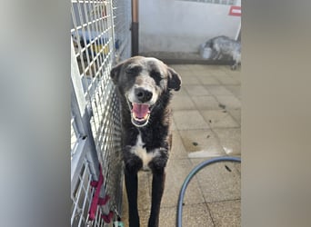 Ena: nur einmal Liebe spüren...