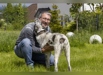 Clarita: sucht Familienanschluss
