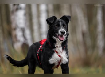 Lebensfrohe Marfa sucht ihre Familie