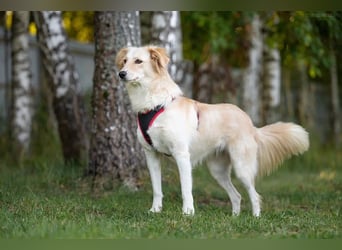 Verspielte Martha sucht ihre Familie