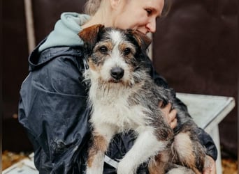 süßer, lebensfroher Düse wünscht sich aktive Menschen