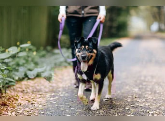 Hübsche Prada sucht ihre Menschen