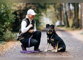 Hübsche Prada sucht ihre Menschen