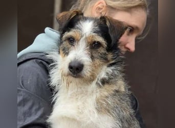 süßer, lebensfroher Düse wünscht sich aktive Menschen