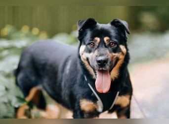 Hübsche Prada sucht ihre Menschen