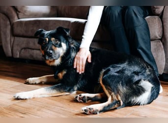 Hübsche Prada sucht ihre Menschen