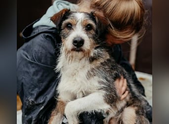 süßer, lebensfroher Düse wünscht sich aktive Menschen