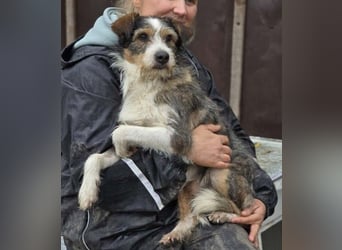 süßer, lebensfroher Düse wünscht sich aktive Menschen