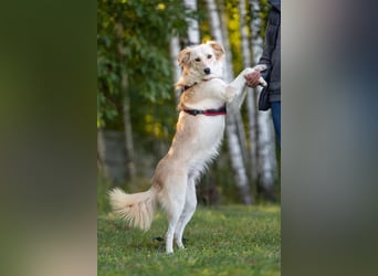 Verspielte Martha sucht ihre Familie
