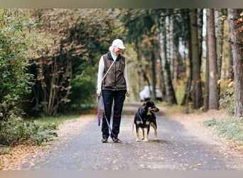 Hübsche Prada sucht ihre Menschen