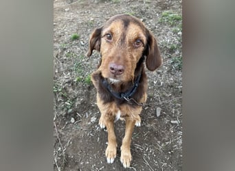 Keanu, geb. ca. 01/2022, lebt in GRIECHENLAND, auf einer privaten Pflegestelle