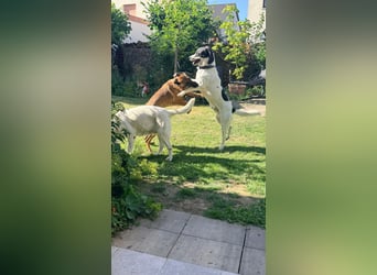 Thano sucht erfahrene Pflege- oder Endstelle