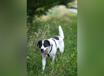 Thano sucht erfahrene Pflege- oder Endstelle
