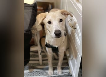 Emma sucht liebevolles zu Hause