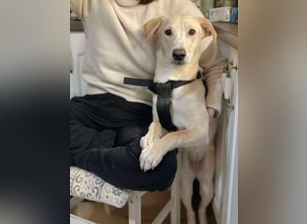 Emma sucht liebevolles zu Hause