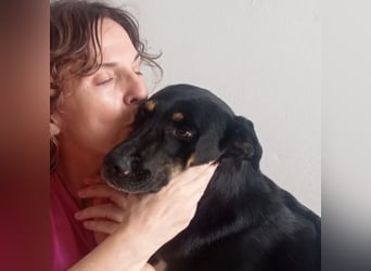 LUCA - Liebe, Vertrauen und … Wasser braucht Luca, um glücklich im liebevollen Zuhause zu werden.