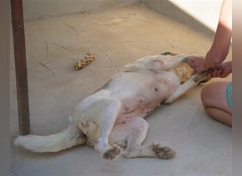 Bamali-wartet in 39291 Hohenwarthe