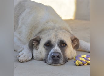 Bamali-wartet in 39291 Hohenwarthe