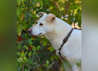 SNOW-WHITE - zart Seele hat ihr Herz geöffnet und ist bereit für ihre liebevolle Familie