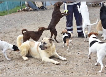 Bamali-wartet in 39291 Hohenwarthe