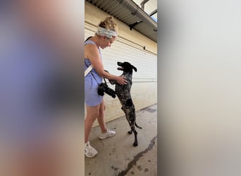 FIGARO-freundlicher, neugieriger Bub sucht liebevolles Für-immer-Zuhause