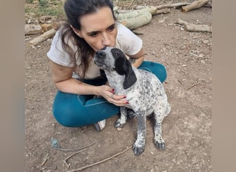 FLECHA-neugierig, sensibel, bewegungsfreudiges Mädchen sucht ihr liebevolles "Für-immer-Zuhause"