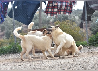 Bamali-wartet in 39291 Hohenwarthe