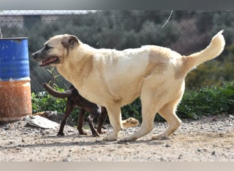 Bamali-wartet in 39291 Hohenwarthe