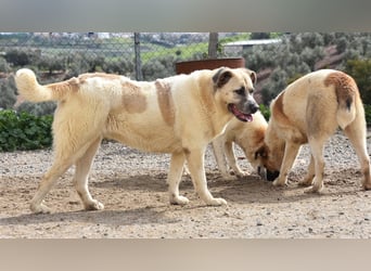 Bamali-wartet in 39291 Hohenwarthe