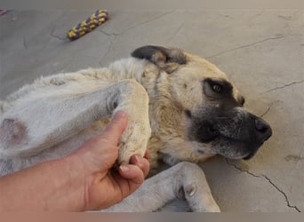 Bamali-wartet in 39291 Hohenwarthe