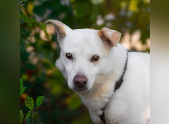 SNOW-WHITE - zart Seele hat ihr Herz geöffnet und ist bereit für ihre liebevolle Familie