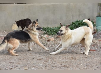 Bamali-wartet in 39291 Hohenwarthe